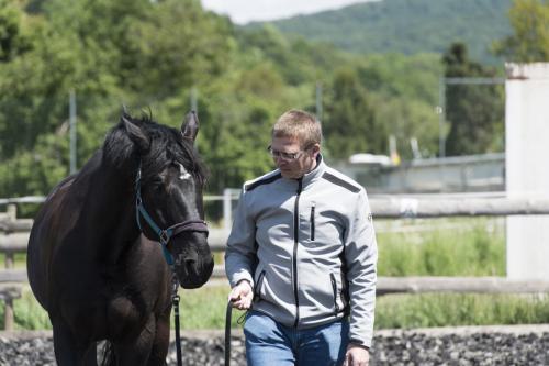 Coaching mit Pferd