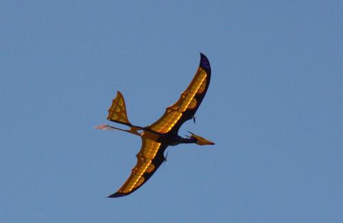 Pterodactylus, das Vorbild für den Aerosaurus